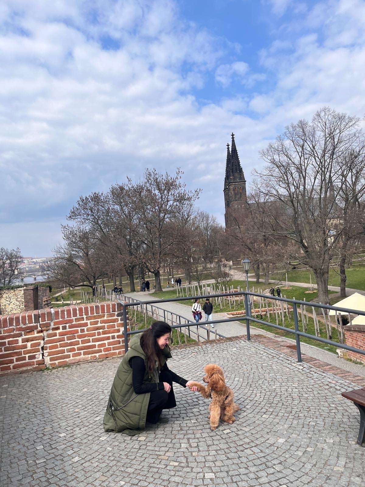 foto-pes-Vysehrad foto-pes-Vysehrad